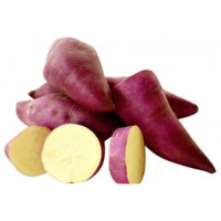 imagem de Batata Doce